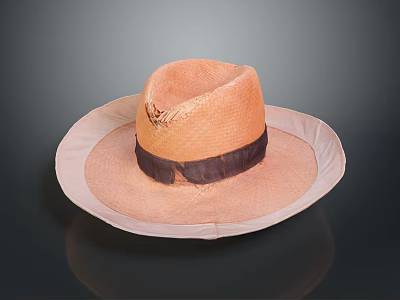 Hat Sunshade Hat Straw Hat Wear Life Supplies 3d model