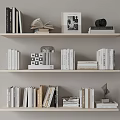 Books and Magazines Neatly Arranged on Wooden Bookshelves with Decorative Lamp Sculpture and Open Book