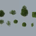 Diverse Tree Collection Showcasing Various Shapes Sizes and Foliage Characteristics 3d model