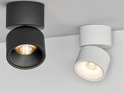 Modern Black And White Ceiling Downlights Spotlights With Bright Lighting Design 3d model