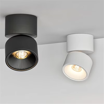 Modern Black And White Ceiling Downlights Spotlights With Bright Lighting Design 3d model