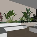 Serene Tea Room With Beige Walls Wooden Flooring Green Plants And Light Gray Sofas