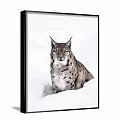 Realistic Animal Painting of Lynx in Snowy Winter Landscape with Detailed Fur
