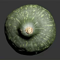 Single Fresh Green Striped Round Vegetable with Shiny Surface on Black Background