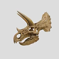 Triceratops Skull Fossil With Prominent Horns And Detailed Skeletal Structure On Neutral Background