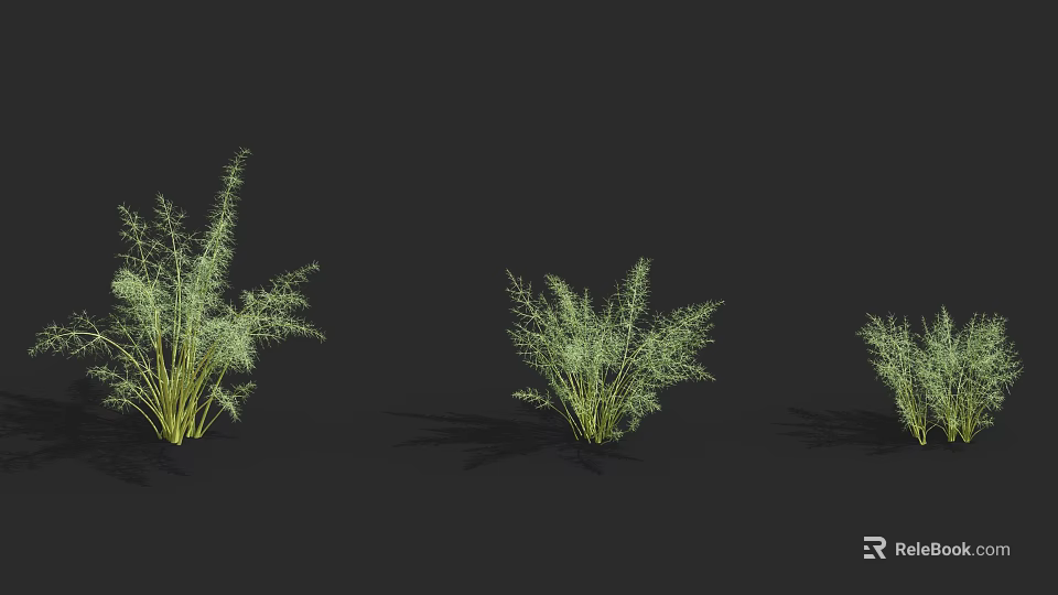 Green Herbs with Slender Leaves in Three Different Sizes on Dark Background 3d model