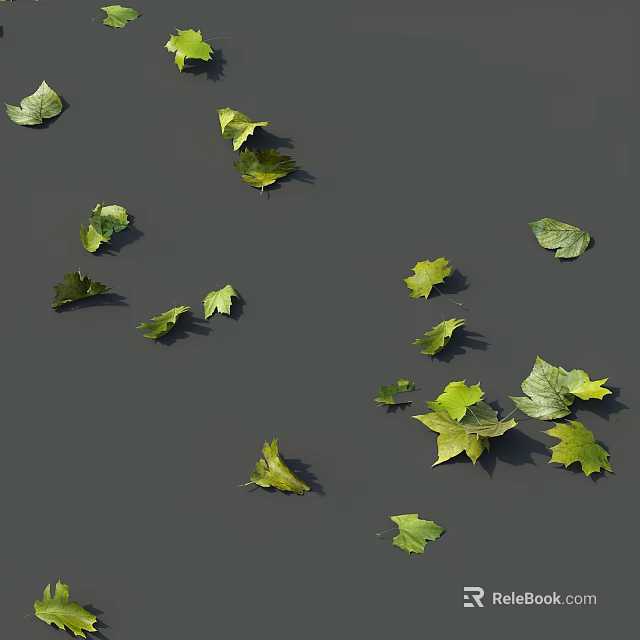 Tree Pit With Floating Green And Yellow Leaves On Calm Water Surface 3d model 