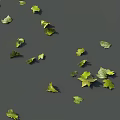 Tree Pit With Floating Green And Yellow Leaves On Calm Water Surface