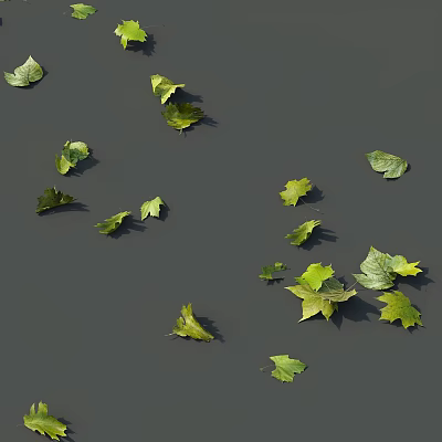 Tree Pit With Floating Green And Yellow Leaves On Calm Water Surface 3d model