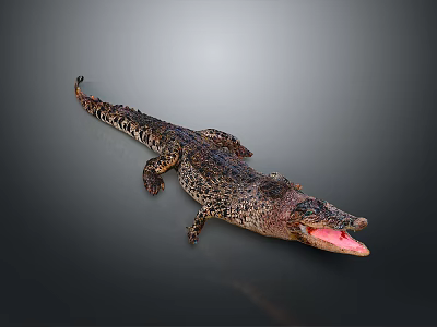 Realistic Reptile Crocodile With Open Mouth Detailed Scales And Natural Body Posture 3d model