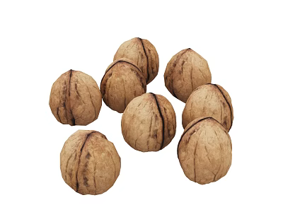 Fresh Whole Walnuts In Natural Shells For Healthy Snacking And Diet 3d model