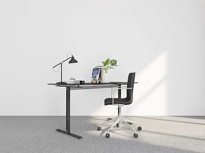 Modern Home Office Desk Setup With Black Chair Lamp And Green Plant 3d model