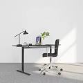 Modern Home Office Desk Setup With Black Chair Lamp And Green Plant