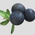 Modern Blueberry Fruit 3d model