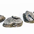 Natural Stone Rocks With Wooden Bases For Outdoor Garden Decoration