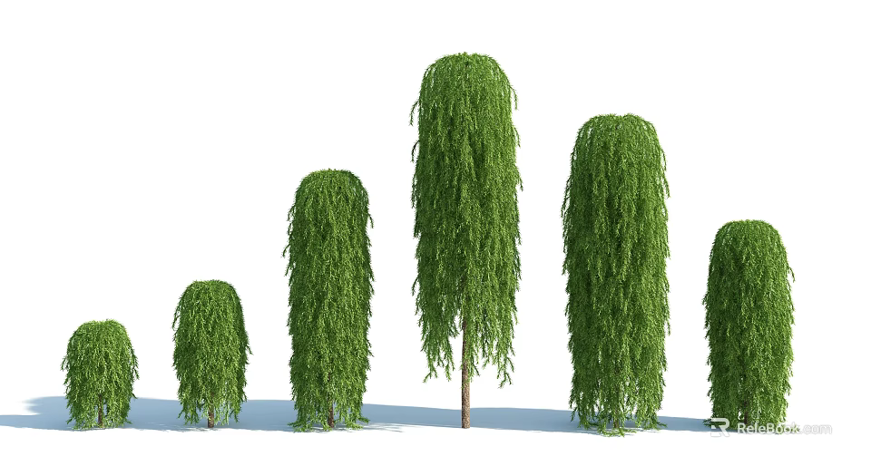 Green Weeping Branch Trees in Various Heights Arrangement for Natural Landscape Design 3d model 