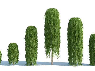 Green Weeping Branch Trees in Various Heights Arrangement for Natural Landscape Design 3d model