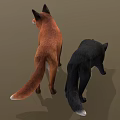 Red Fox and Black Wolf Standing with Realistic Fur Details on Gray Background
