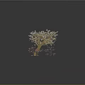 Large White Blossom Tree And Small Pink Flower Trees On Gray Background With Reflections