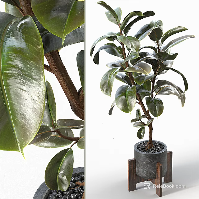 Indoor Potted Plant with Lush Glossy Green Leaves in Gray Pot and Wooden Accents 3d model 