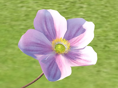 Soft Pink Flower With Yellow Center Blooms On Green Grass Background 3d model