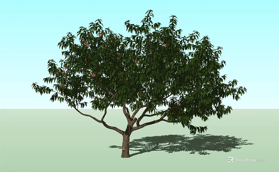 Arbor Tree With Lush Green Leaves Brown Trunk And Natural Shadow 3d model 