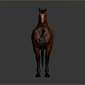 Brown Horse Standing With Dark Mane Against Gray Gradient Background In Side View 3d model