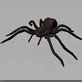 3D Rendered Spider With Long Legs And Brownish Realistic Detailed Design
