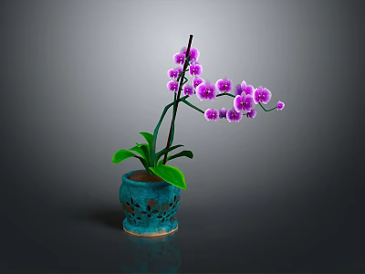 Purple Orchid Plant With Green Leaves And Purple Flowers In Blue Perforated Pot 3d model