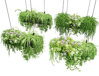 Hanging Basket Green Plant Potted Vine Man Combination Garden Vine Man Plant Combination 3d model