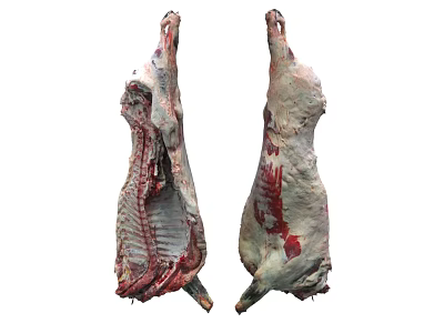 Fresh Raw Lamb Carcass Meat With Natural Texture For Cooking Preparation 3d model