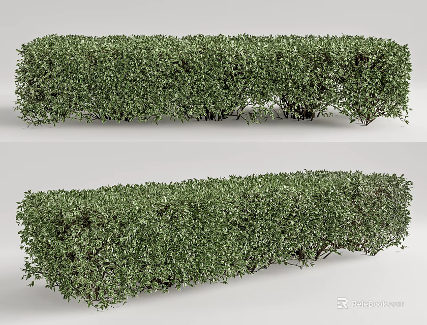 Green Shrub Hedge Well Trimmed for Garden Landscaping Outdoor Decoration Design 3d model 