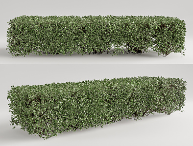 modern shrub green plant shrub 3d model