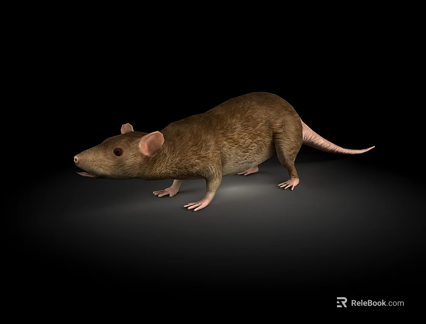 Realistic Brown Reptile Lizard Figure On Black Background With Detailed Texture 3d model 