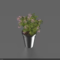 Bonsai Potted Plant With Purple Flowers Green Leaves And Black Pot For Indoor Decor