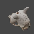 Natural Animal Skull With Horns Teeth And Detailed Bone Structure Displayed