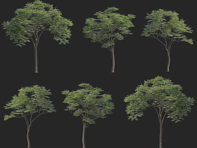 Various Arbor Trees With Lush Green Foliage In Different Growth Forms 3d model