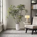Large Indoor Potted Plant in White Textured Planter with Chair Lamp and Bookshelf