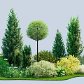 Various Types Of Trees Shrubs And Green Plants In Natural Garden Landscape With Lawn