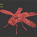 Colorful Insect With Red Eyes Black Yellow Body And Transparent Patterned Wings On Shiny Surface