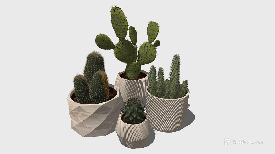 Various Cactus Plants in Textured Decorative Planters for Indoor Home Decor 3d model 