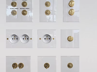Modern Transparent Switch Panels With Gold Switches And Power Sockets 3d model