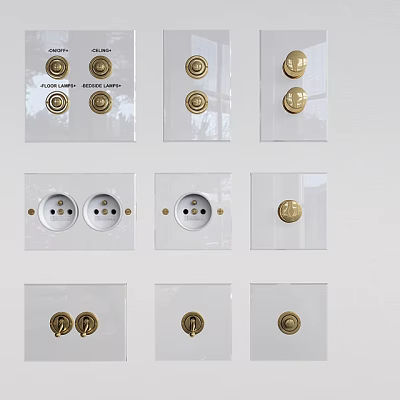 Modern Transparent Switch Panels With Gold Switches And Power Sockets 3d model