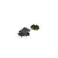 Garden Ornamental Shrubs Stoebe Kilimandscharica With Green And Gray Foliage For Outdoor Garden