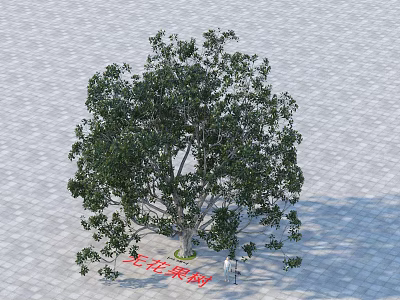 Red Sandalwood Arbor With Dense Green Leaves And Strong Trunk On Paved Ground 3d model