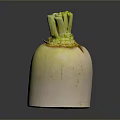 Healthy Fresh White Root Vegetable With Green Stems On Dark Surface