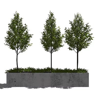 Green Flower Bed Design With Three Trees Green Grass And Concrete Structure 3d model