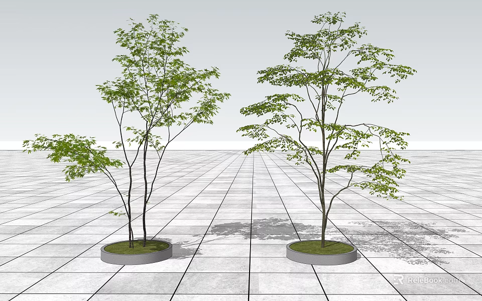 Two Trees in Circular Planters on Grid Patterned Ground With Lush Green Leaves 3d model 