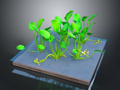 Green Plants With Broad Leaves And Yellow Flowers Growing On Blue Platform 3d model