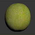 Fresh Ripe Cantaloupe With Vibrant Green Netted Skin On Dark Surface